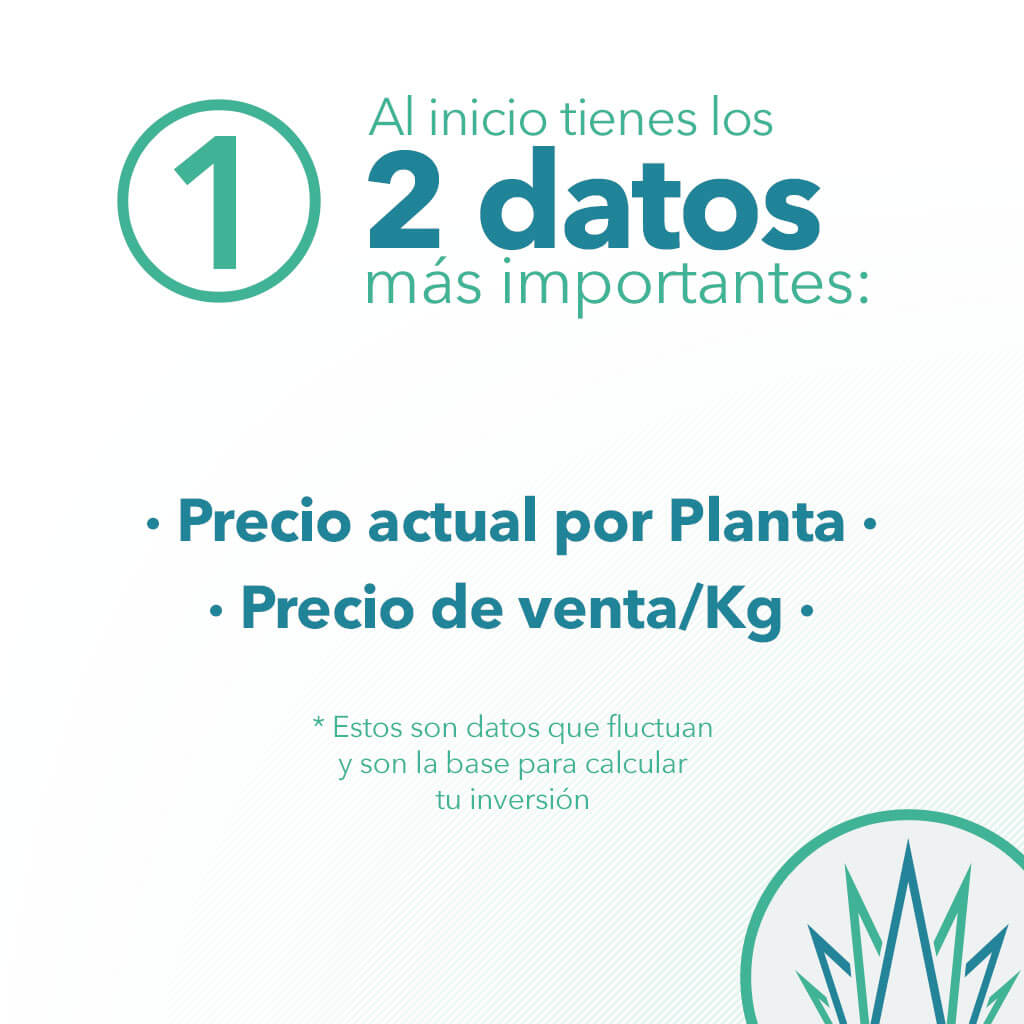 paso 1
