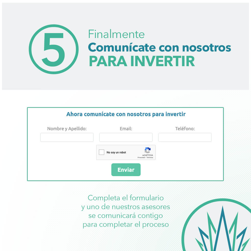 paso 5